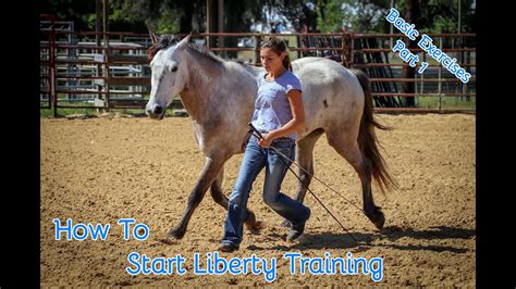 youtube horse training|horse training videos for beginners.